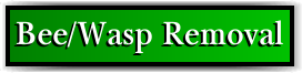 Pahokee, FL Bee Removal and Wasp Control
