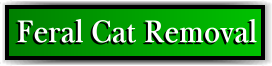 Pahokee, FL Feral Cat Removal