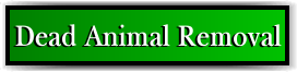 Pahokee, FL Dead Animal Removal