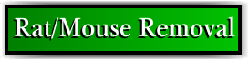 Pahokee, FL Rat Removal and Rodent Control
