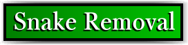 Pahokee, FL Snake Removal