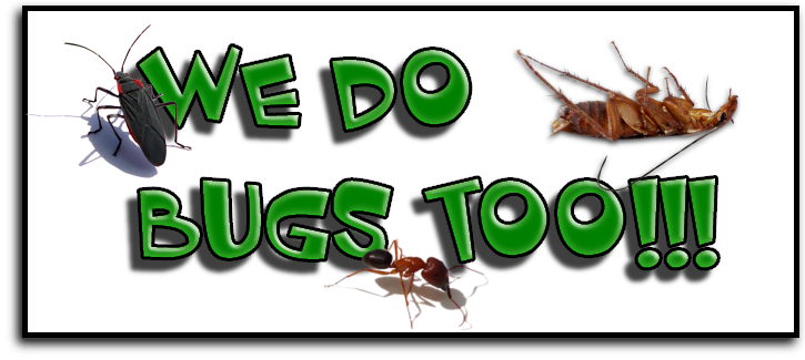 Martin County Pest Control Service