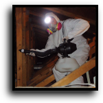 Fort Lauderdale, FL Attic Cleaning Service