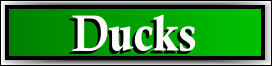Lauderdale Lakes, FL Duck Removal Service