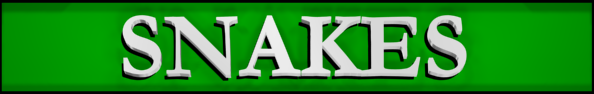 Animal Rangers, FL Snake Removal Service